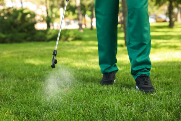 Best Local Pest Control Services  in Sudley, VA
