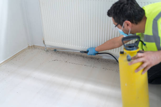 Best Mosquito Control Services  in Sudley, VA